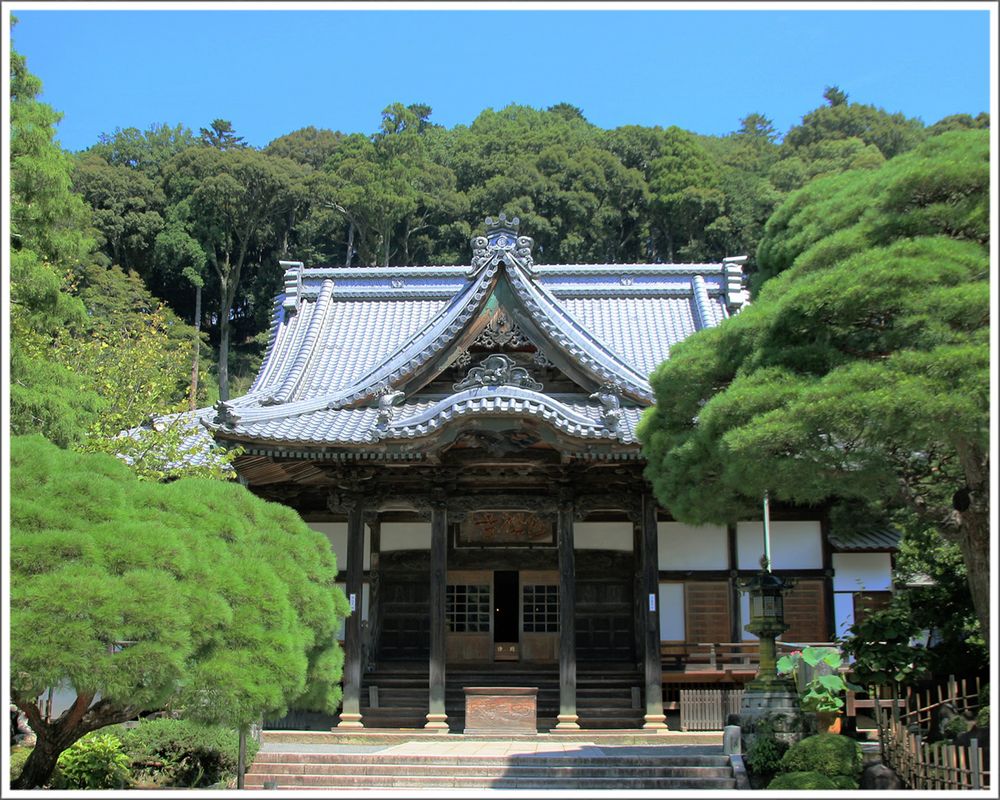 伊豆2日游
