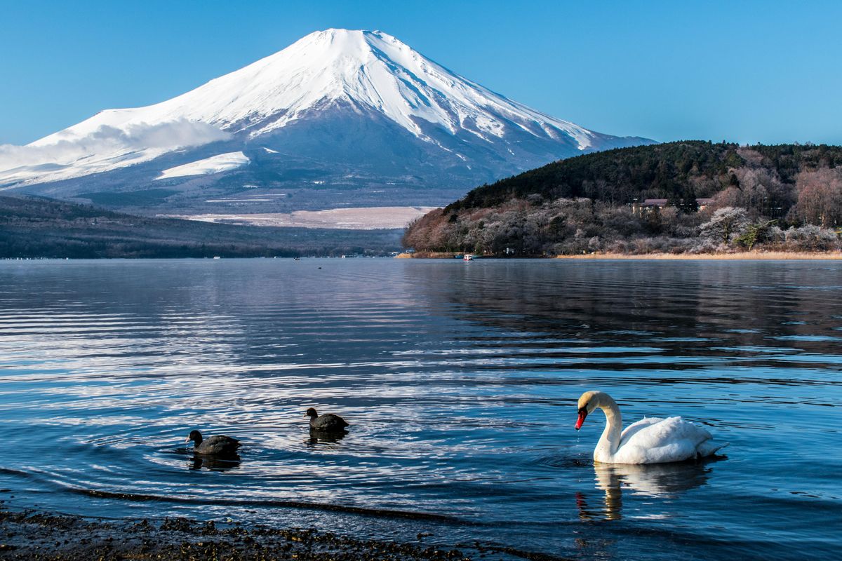 富士山～山中湖