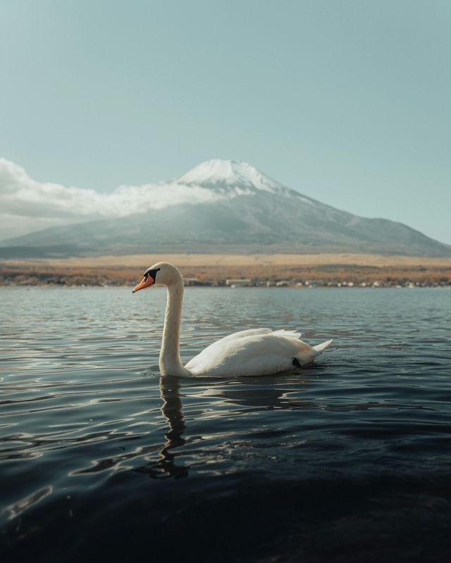 富士山～山中湖